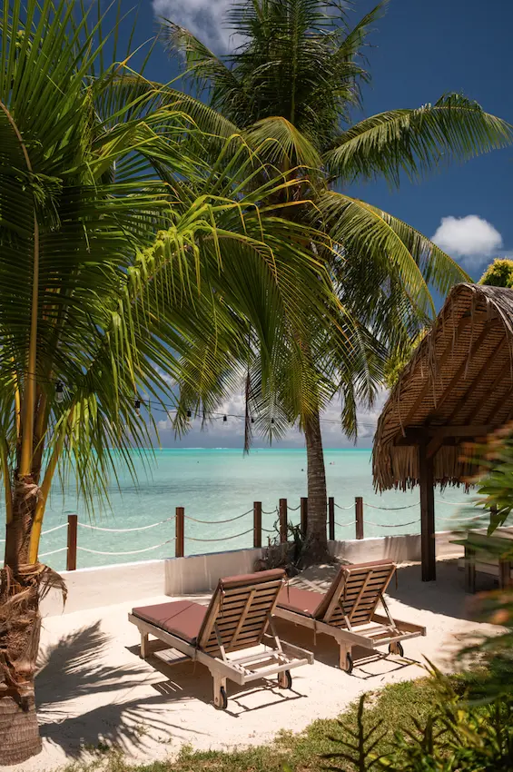 Lounge chairs