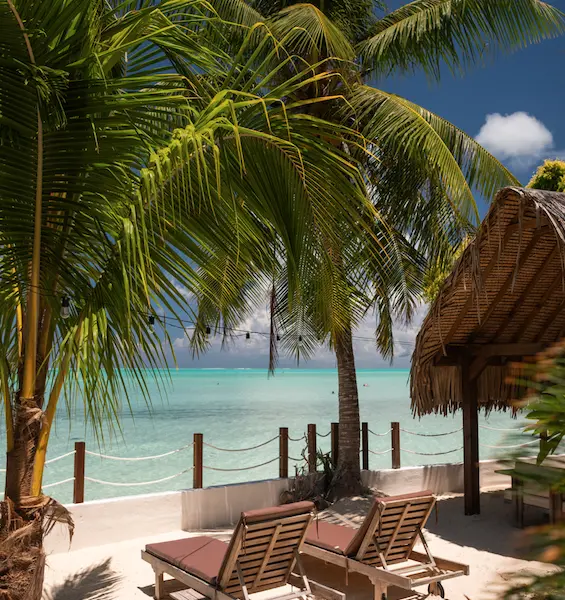 Lounge chairs