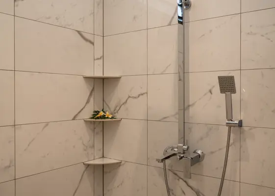 Shower 2