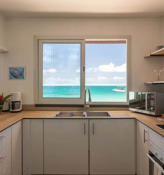 Kitchen view