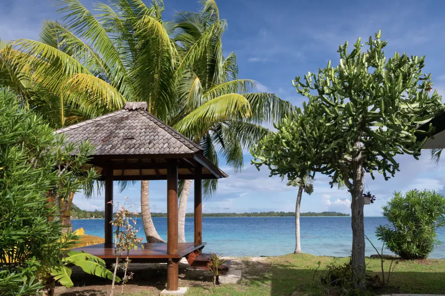 Jardin avec vue sur la mer