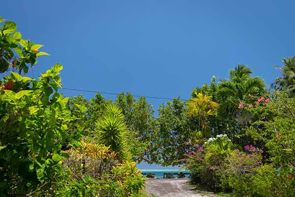 Chemin menant à la plage depuis notre maison de vacances à Bora Bora.