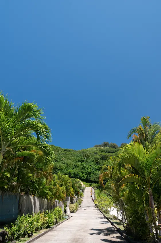 Access road