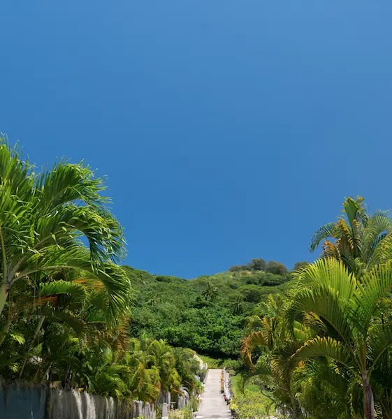 Access road